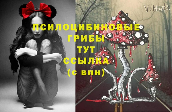 бутират Елабуга