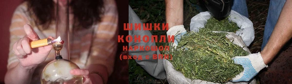 бутират Елабуга
