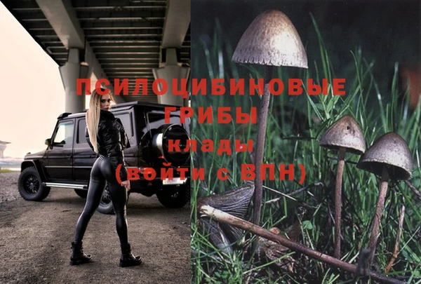 бутират Елабуга