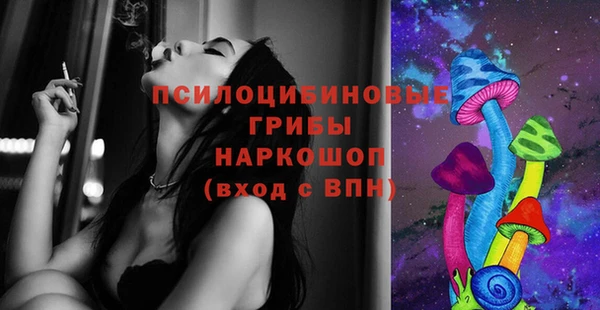 бутират Елабуга