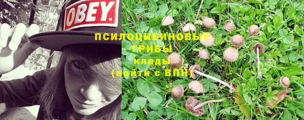 бутират Елабуга