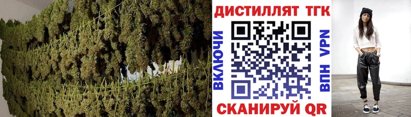 Купить  Ессентуки  Дистиллят ТГК концентрат 